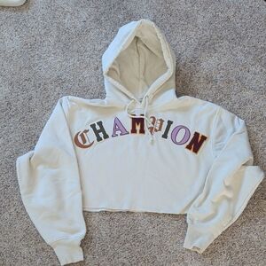 Champion Multicolor Lettering Cropped Hoodie